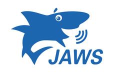 По Экранного Доступа "Jaws For Windows"