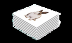 Набор пазлов EduQuest